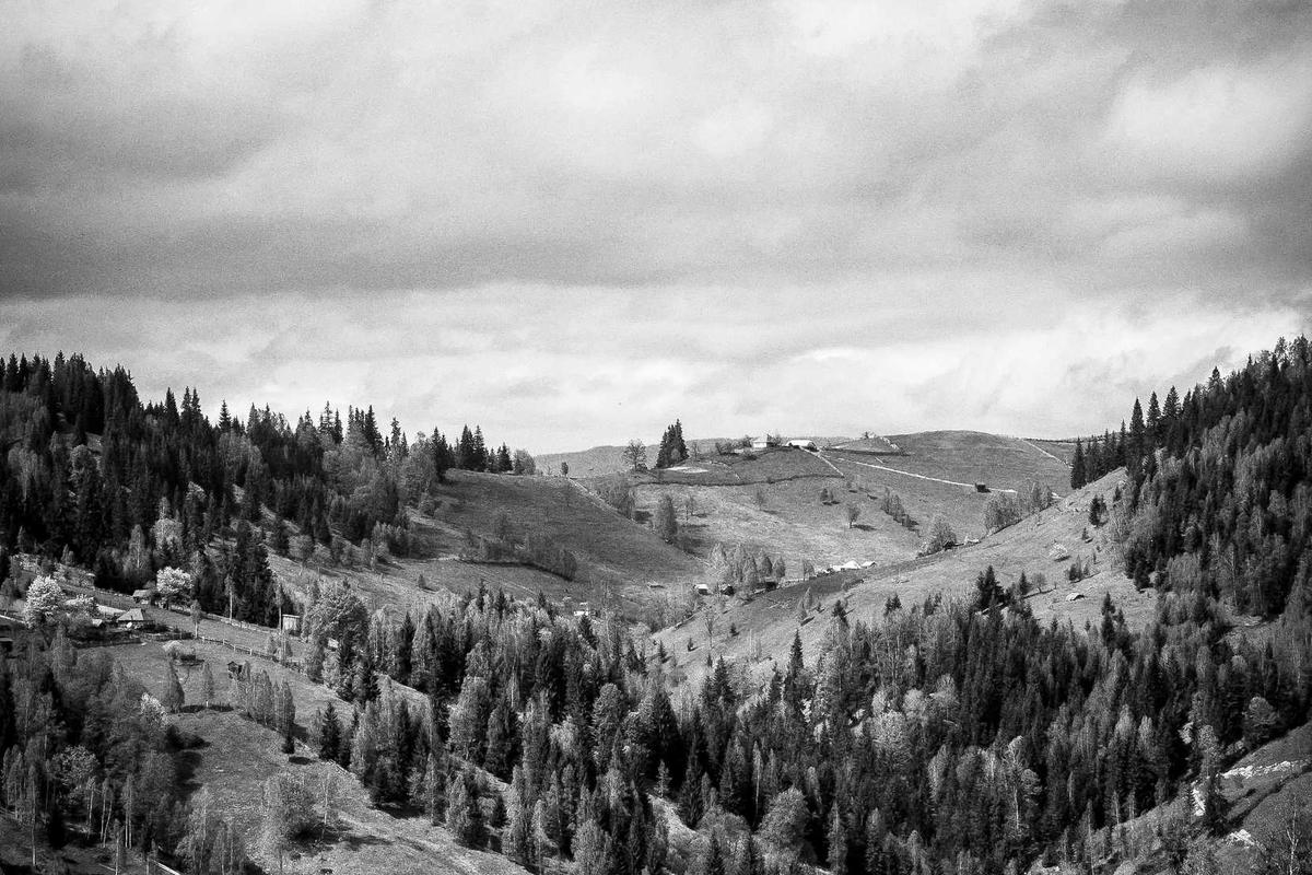 9 Rekomendasi Laptop untuk Kerja Terbaik 2026, dari Budget hingga Profesional