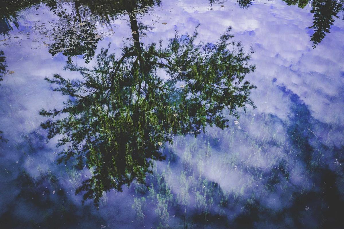 Intel Luncurkan Laptop Core Ultra Series 3 Berbasis AI di Indonesia