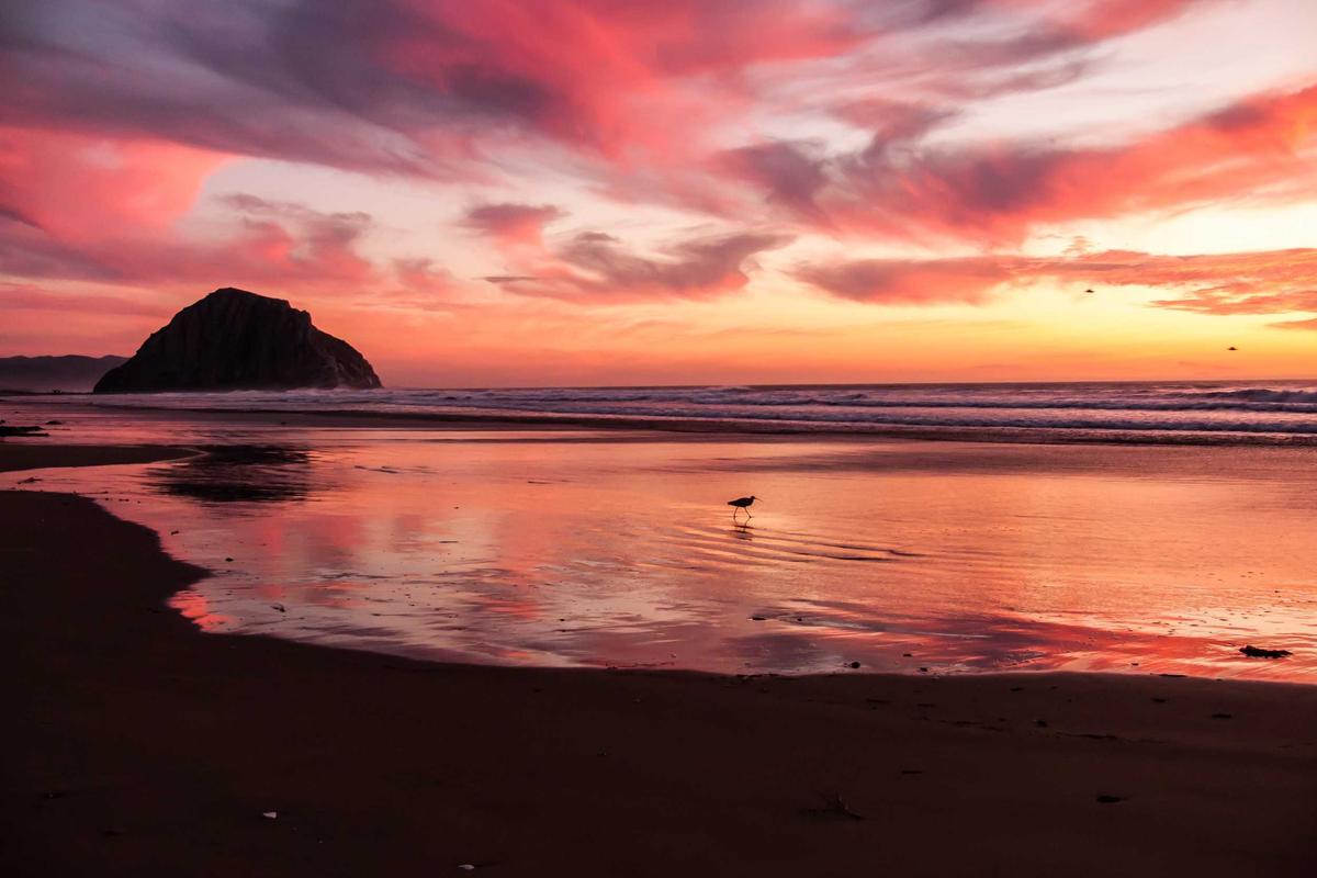 Xiaomi luncurkan dua laptop terbaru, Redmi Book 14 dan 16 harga Rp15 juta-an