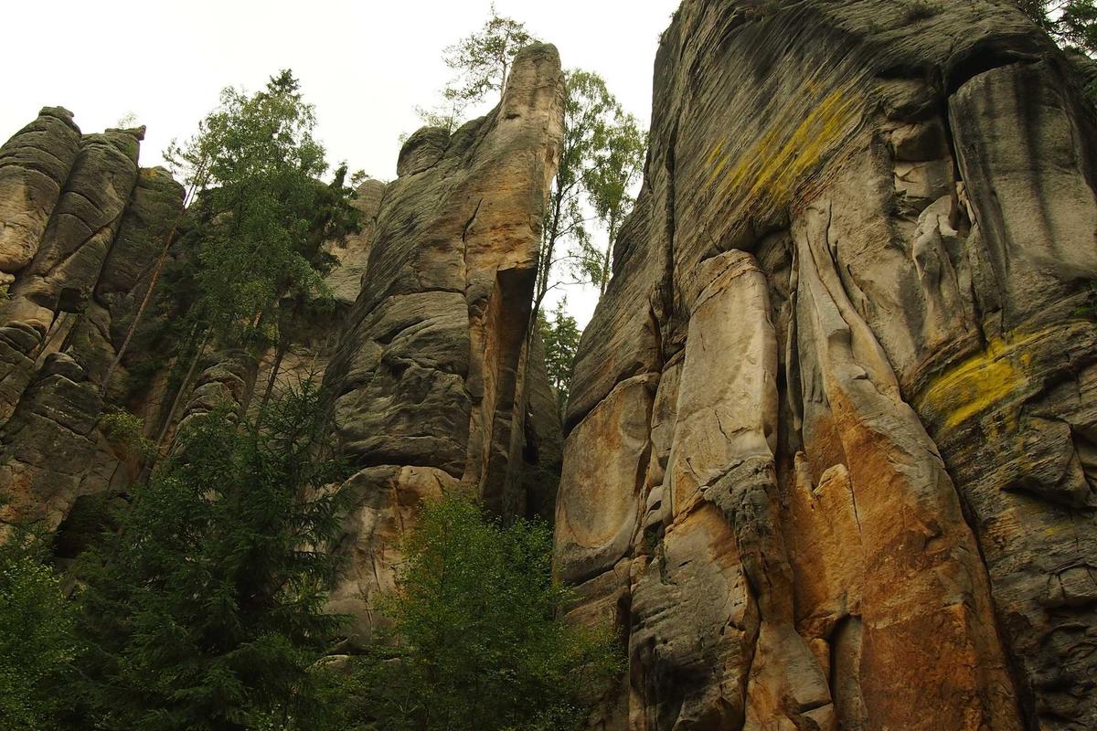 ASUS Zenbook A14 Harga Terbaru 2026: Laptop 899 Gram dengan Snapdragon X Plus dan AI Copilot+