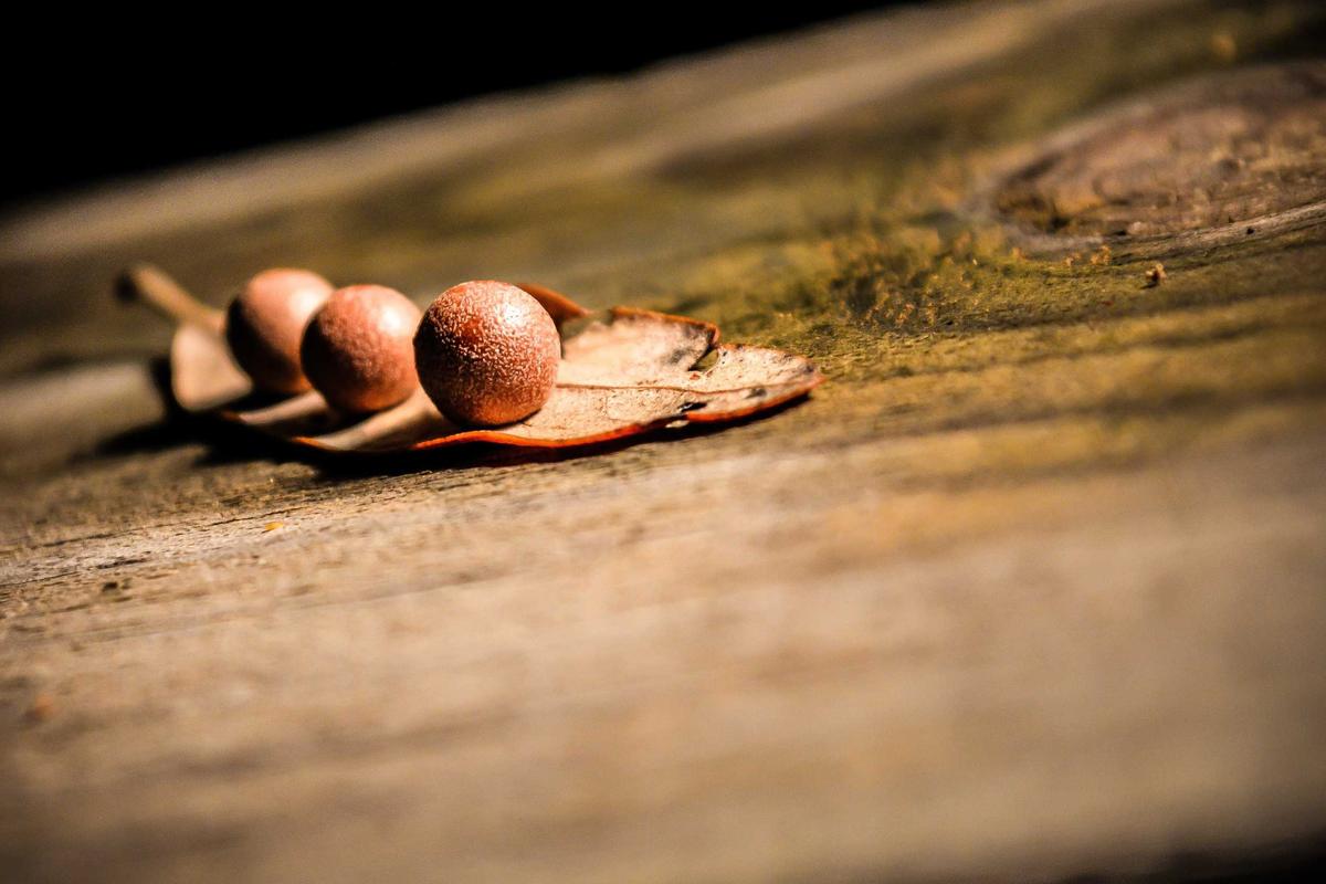 4 Laptop HP Pavilion 2026, Rekomendasi Tipis Ringan untuk Kerja & Kuliah