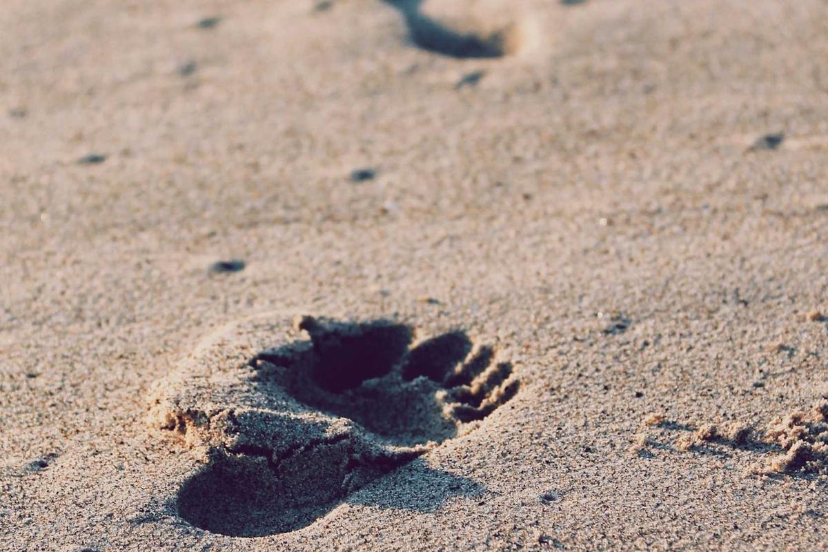 4 Laptop HP Pavilion 2026, Rekomendasi Tipis Ringan untuk Kerja & Kuliah