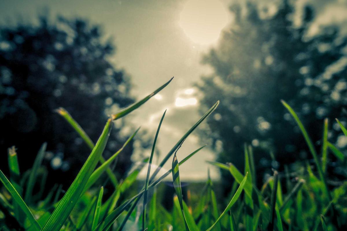 5 Laptop ASUS TUF Gaming 2026, Rekomendasi RTX Terbaru untuk Gaming & Editing