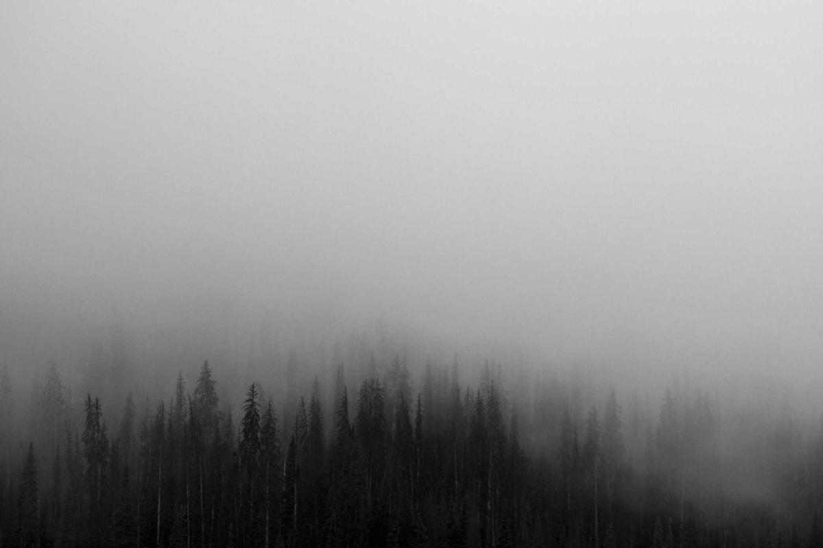 Rangkaian Laptop Gaming ASUS ROG Luncurkan Laptop Gaming Berbasis AI Terbaru di Indonesia