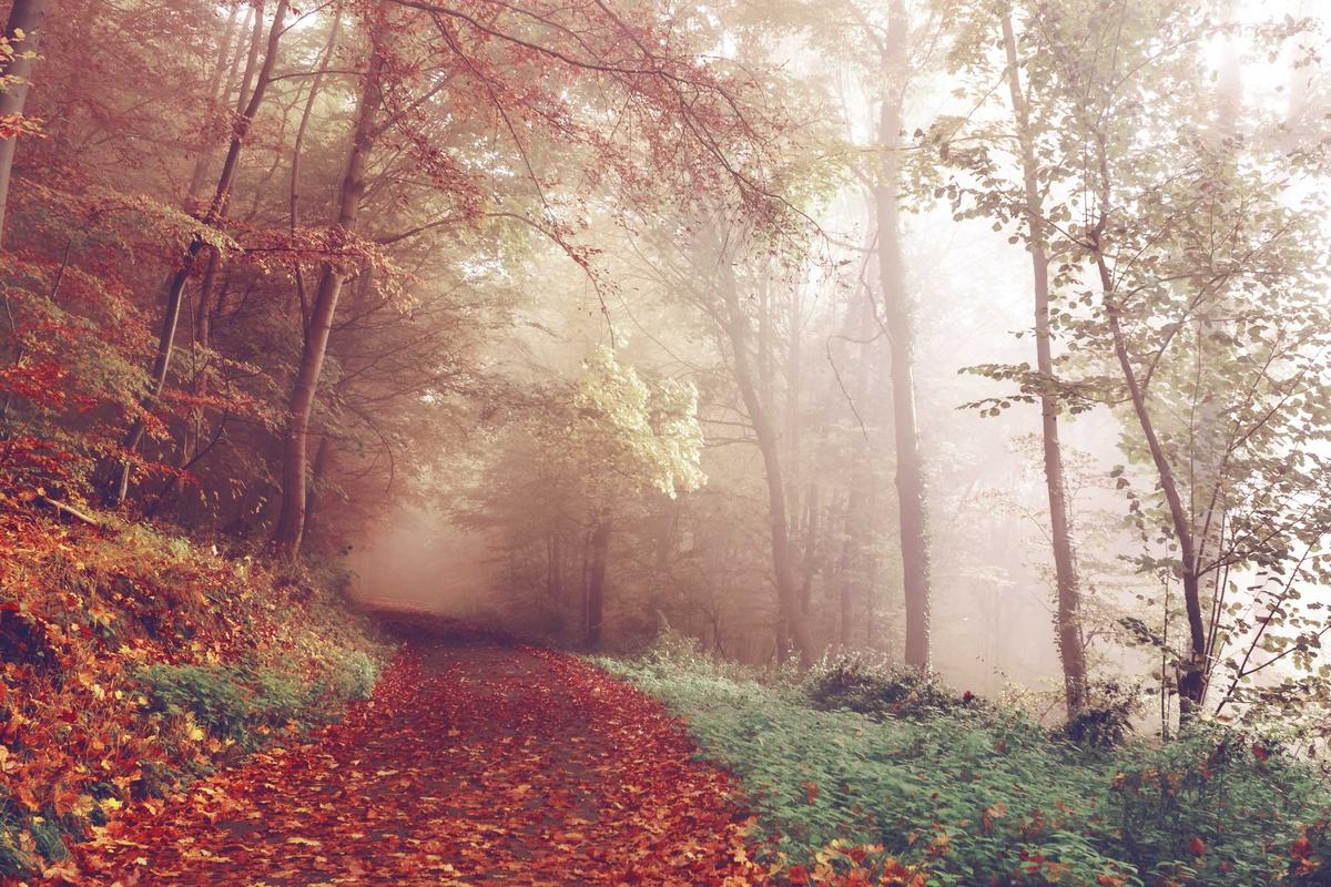 Xiaomi Redmi Book 14 & 16 Resmi Dirilis, Laptop Tipis dengan Intel Core Ultra